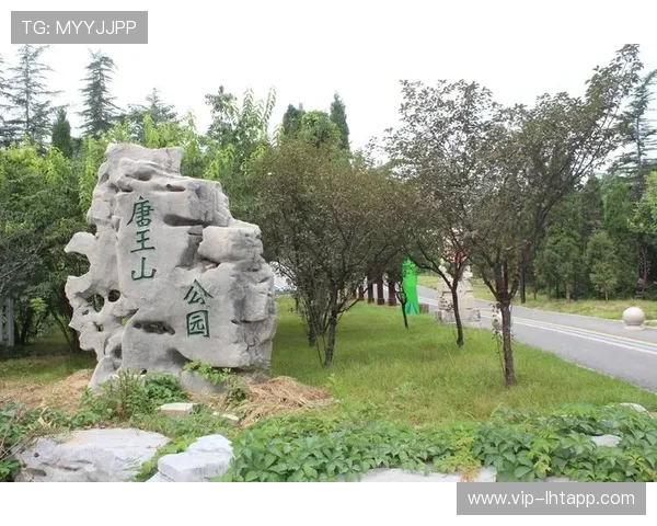 老虎机上那首英文歌叫的相关趣闻轶事与玩家的真实反馈